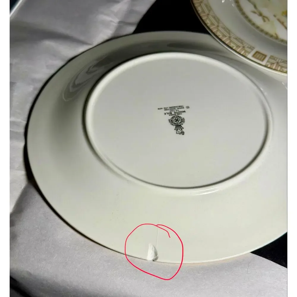 Royal Doulton White Nile TC1122 8